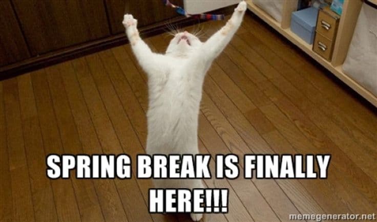 SPRING BREAK